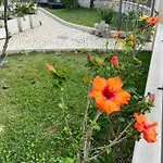 Oasis Guest house 4*