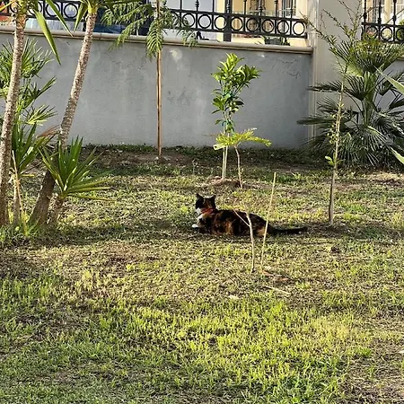 Oasis Guest house 4*