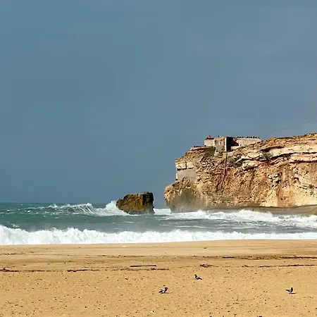 Oasis Guest house Nazare