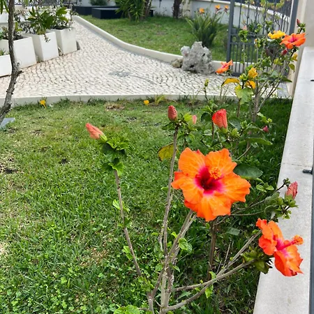 Oasis Guest house 4*