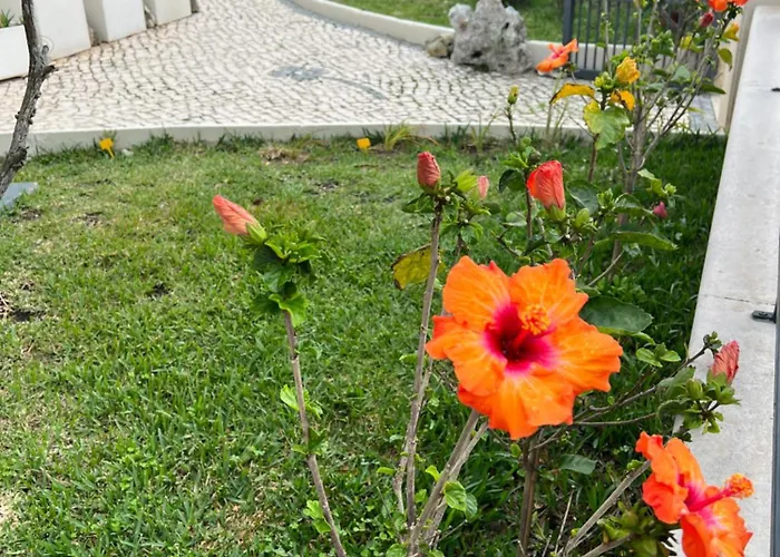 Oasis בית הארחה 4*